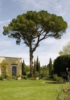 Villa Malavolta Scandicci Luaran gambar